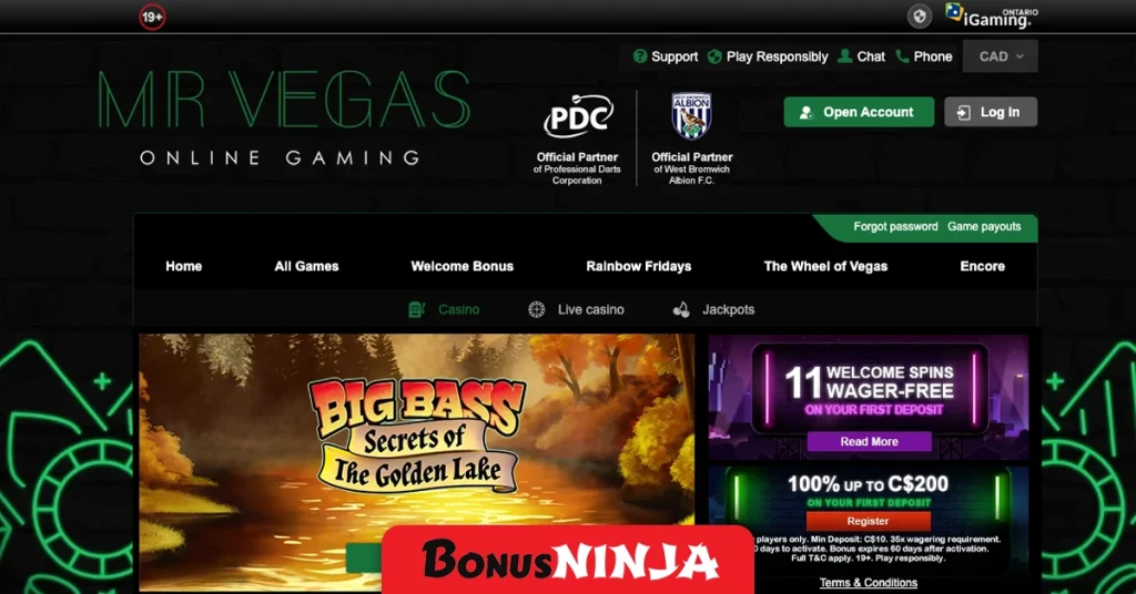 Mr Vegas frontpage
